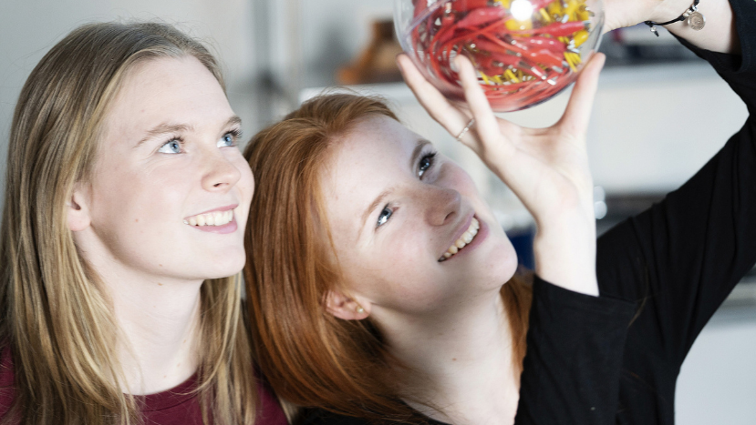 Zwei junge Frauen schauen interessiert auf eine Kugel mit Kabeln
